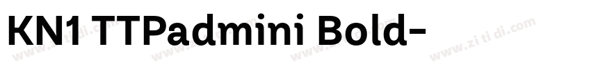 KN1 TTPadmini Bold字体转换 KN1 TTPadmini Bold字体转换